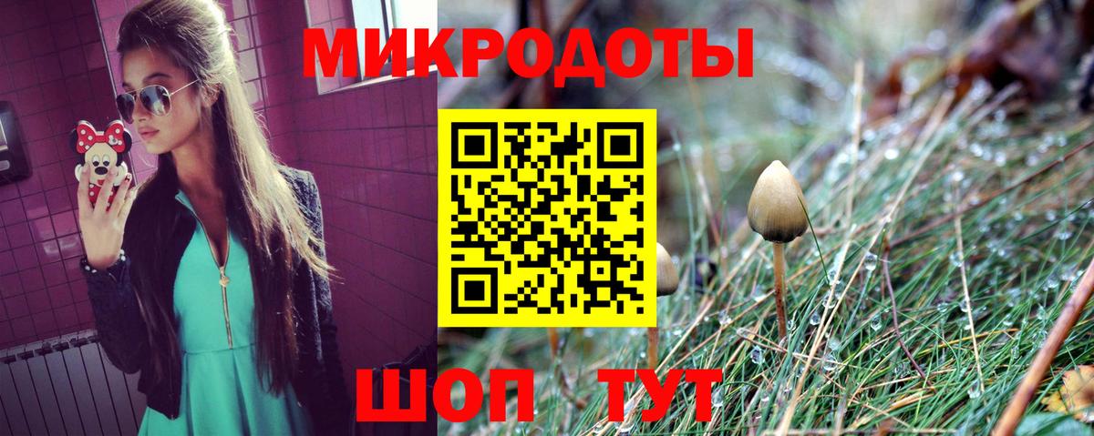 Псилоцибиновые грибы Psilocybe Кингисепп